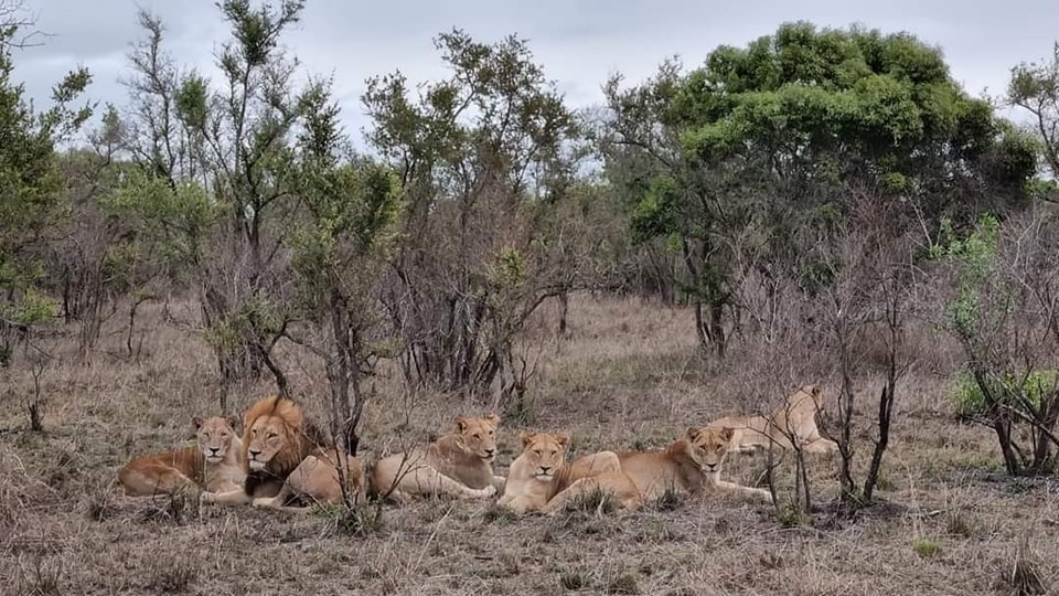 AFRIQUE DU SUD